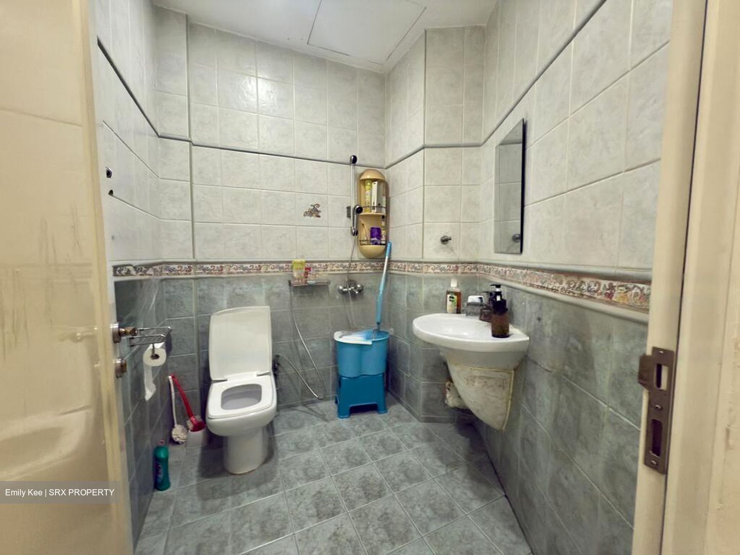 Joo Chiat Terrace (D15), Terrace #462853931
